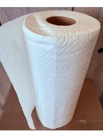 160F 2-PLY TOWEL PAPER - 12 ROLLS/CASE 