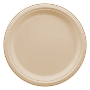 COMPOSTABLE BAGASSE PLATE 10" - 500/BOX