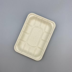 Product: TRAY SIZE 212*150*24 500/CASE