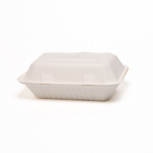BAGASSE CONTAINER ONE 9-INCH COMPARTMENT - RECTANGULAR FORMAT