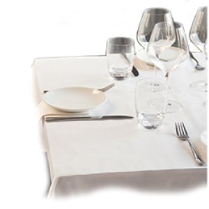 Product: WHITE PAPER TABLECLOTH 26X30 500/PACK DD40