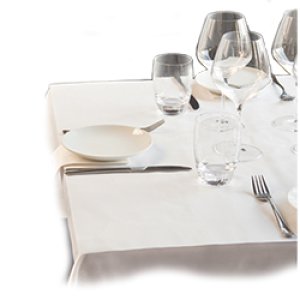 Produit: NAPPE EN PAPIER BLANC 26"X30"  500/PQ DD40 