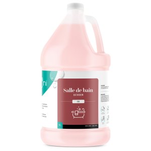 SAPONI PAE CLEANER FOR SANITARY BATHROOMS 4 LITERS