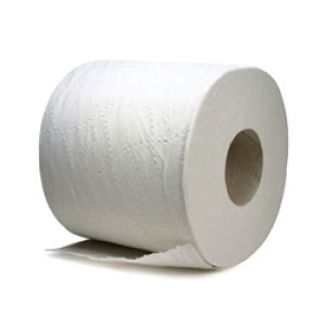 TOILET PAPER 48 ROLL 2 PLY 500 SHEETS/ROLL