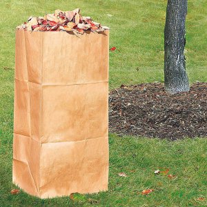 Product: PAPER LAWN BAG 35''X16''X12'' 259G/BAG 2PLY - 5/PQ 2 OR 3 COLOR