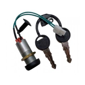 Product: REPLACEMENT KEY LAVORPRO FOR CONTROL BOARD 