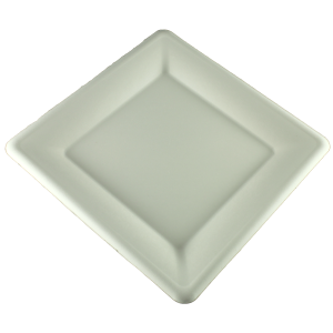 SQUARE BAGASSE PLATE 10 X 10 - 500/BOX